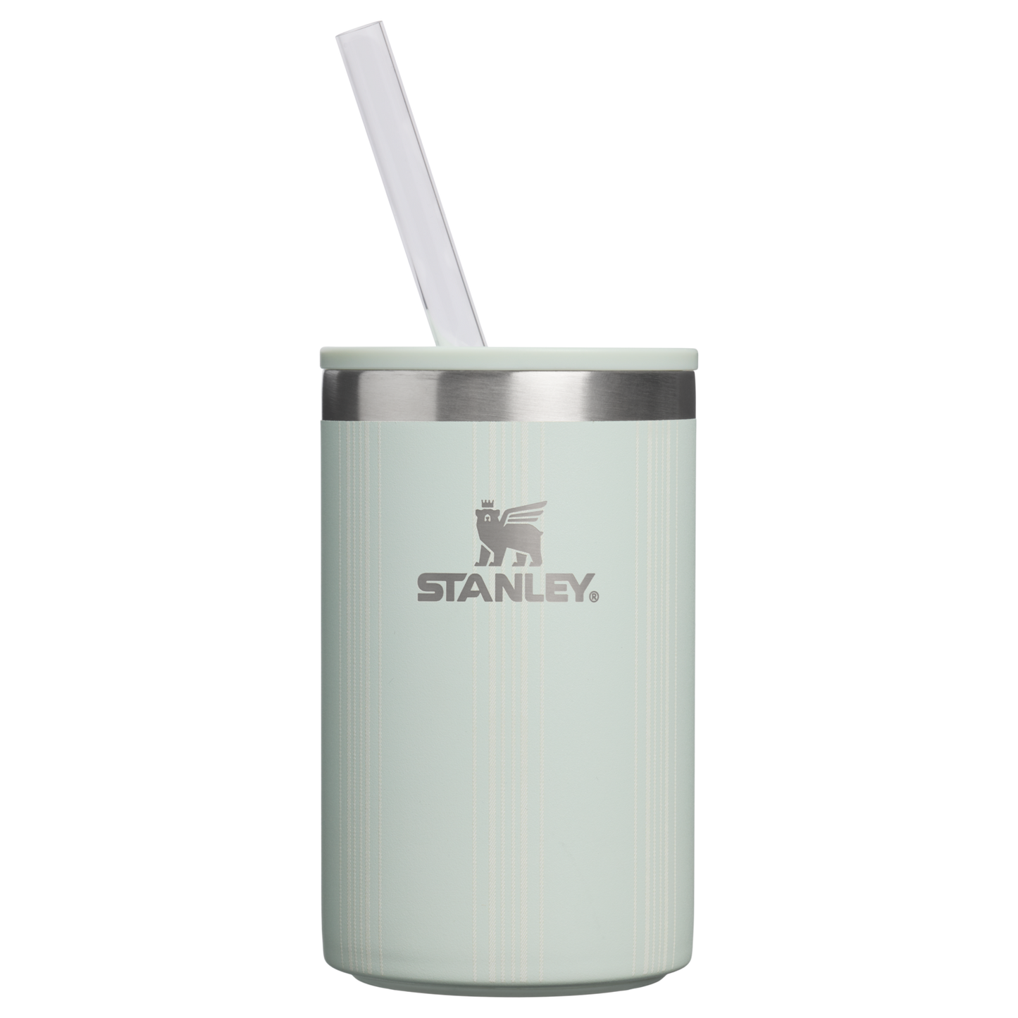 The Everyday Can Cooler Cup