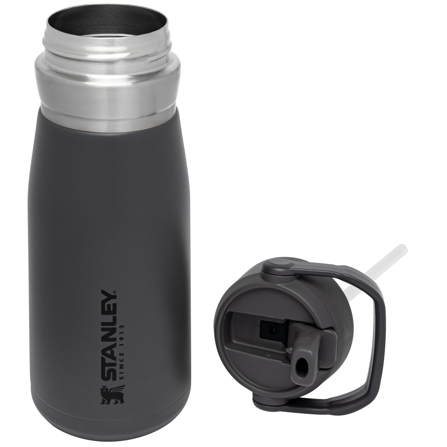Go Flip Straw Water Bottle