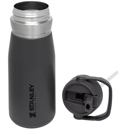 Go Flip Straw Water Bottle